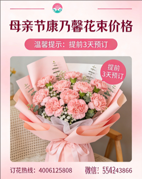 广安岳池县花店母亲节康乃馨花束