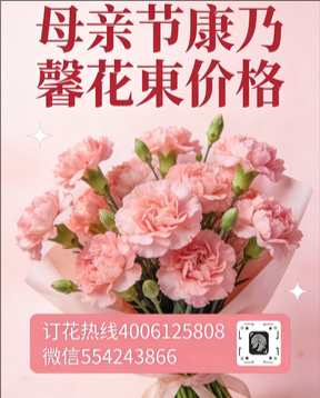广安岳池县花店母亲节康乃馨花束